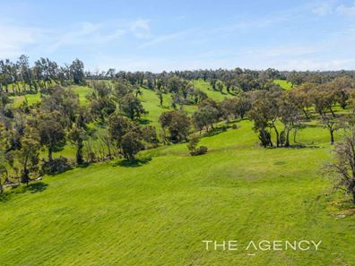 667 Reen Road, Gidgegannup WA 6083