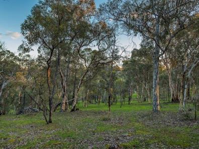 14 Lareema Drive, Bullsbrook WA 6084