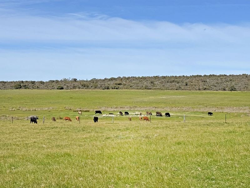 Lt 1 & 3 Paterson Road, Monjingup