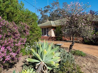 62 John Street, Beverley WA 6304