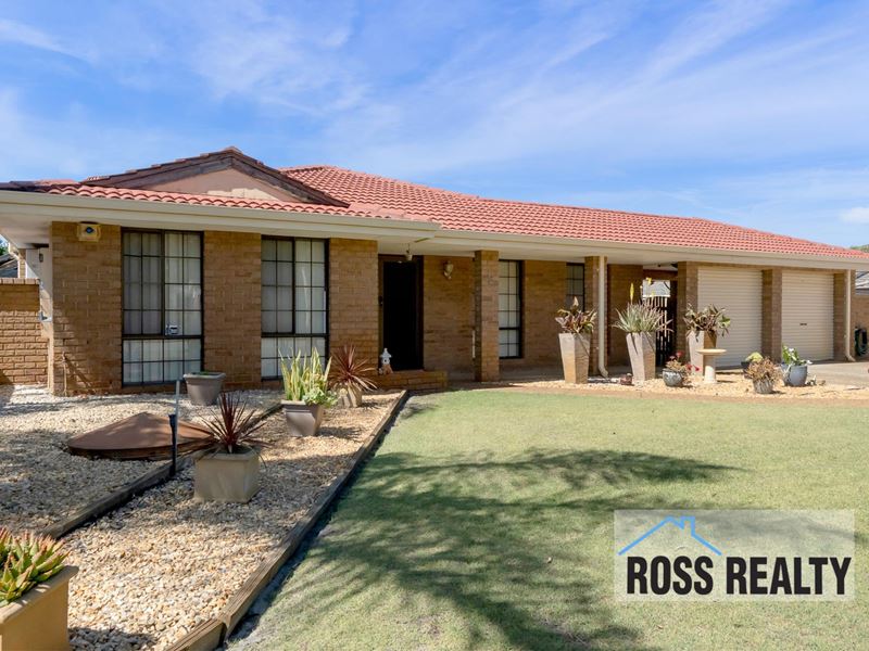 16 Bottlebrush Drive, Morley WA 6062