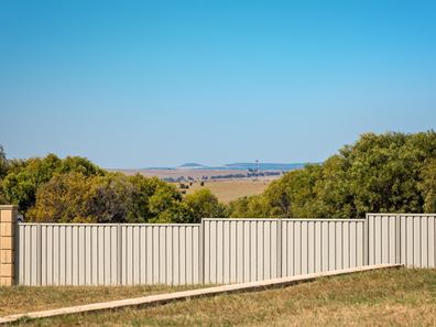 17 Eurithmic Link, Wandina WA 6530