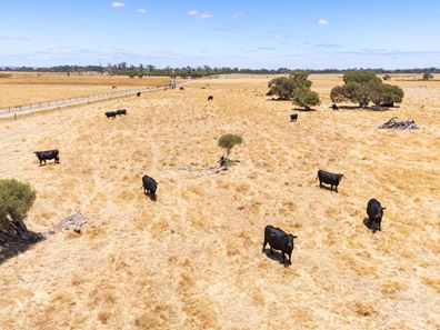 1081 Buller Road, Waroona WA 6215