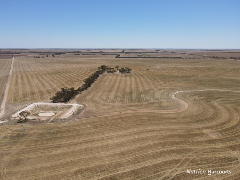 2342 Emu Hill Road East, South Kumminin