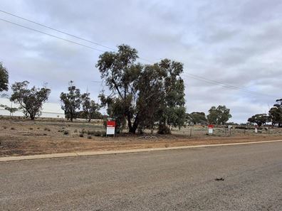8 McConnell Street, Pithara WA 6608