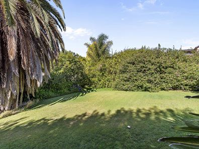 17 Hillway, Nedlands WA 6009