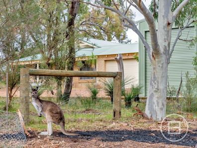 1 Clements Place, Waroona WA 6215