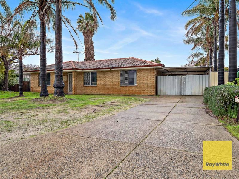 11 O'sullivan Drive, Camillo