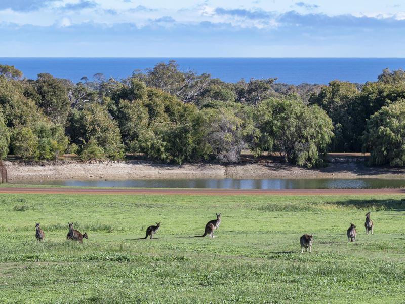 234 Sheoak Drive, Yallingup