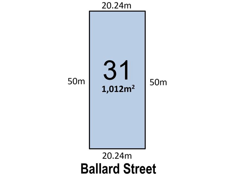 31 Ballard Street, Menzies WA 6436