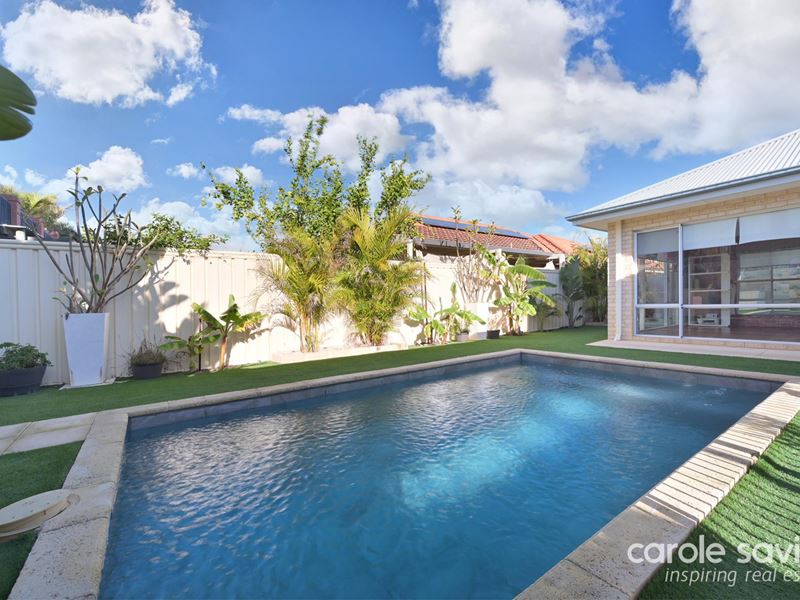 37 Carbine Loop, Banksia Grove WA 6031