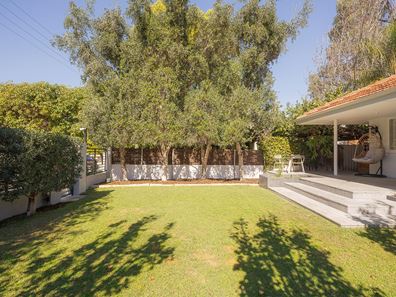 209 Herbert Street, Doubleview WA 6018