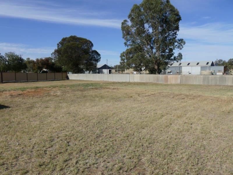 6 Harris St, Dandaragan WA 6507