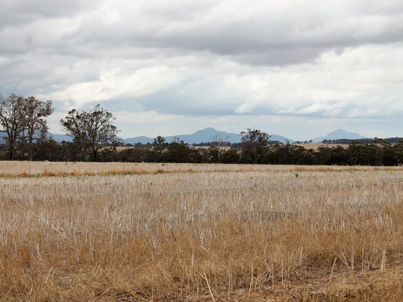 379 Crockerup Road, Mount Barker