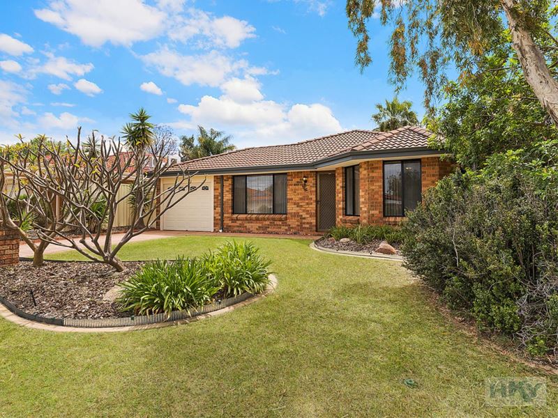 81 Star Bush Crescent, Ellenbrook