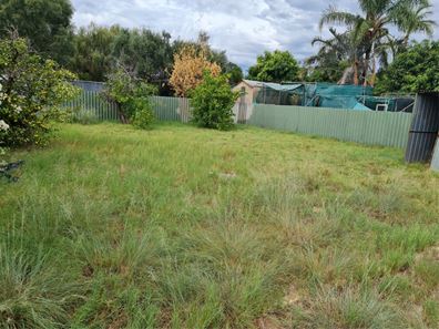 3 Lyne Street, Gosnells WA 6110