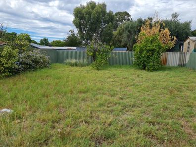 3 Lyne Street, Gosnells WA 6110