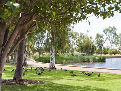 13 Selina View, Baldivis WA 6171