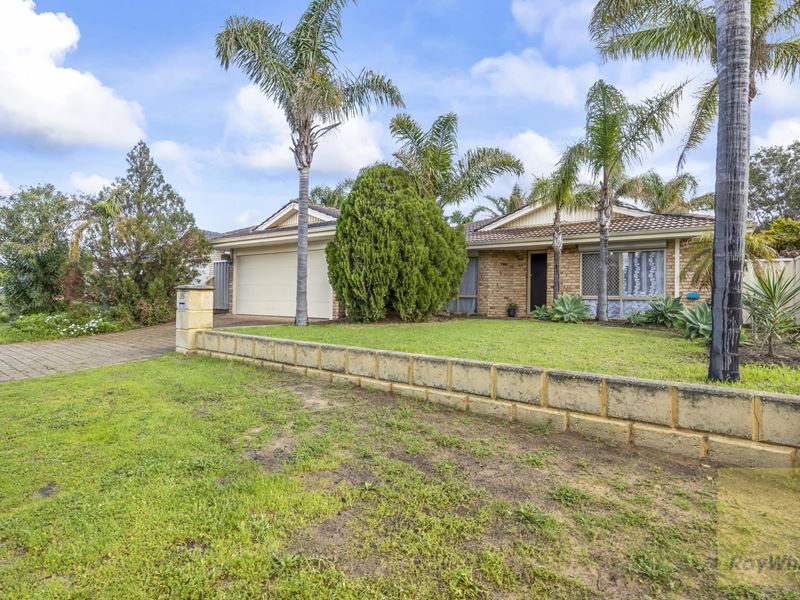 25 Frawley Ramble, Clarkson WA 6030