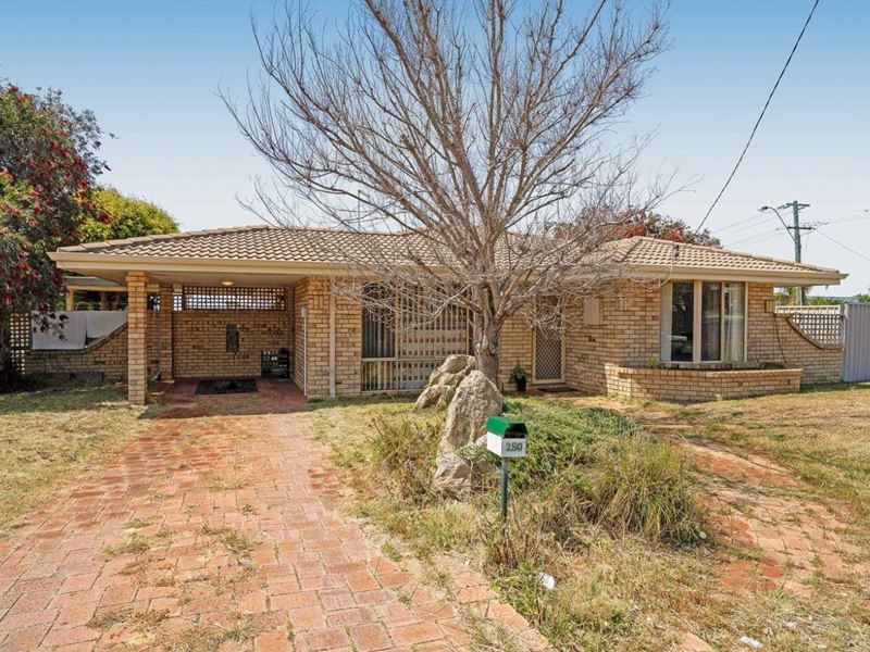 250 Eddystone Avenue, Beldon