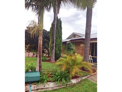 24 Eureka Place, Seville Grove WA 6112