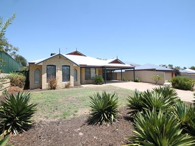 3 Astroloma Drive, Success WA 6164