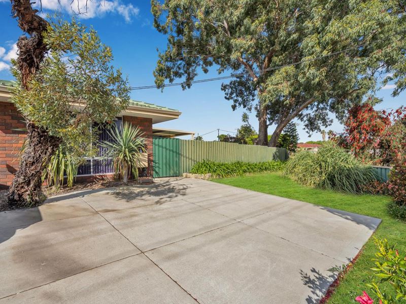 52A BLACKMORE AVENUE, Girrawheen WA 6064