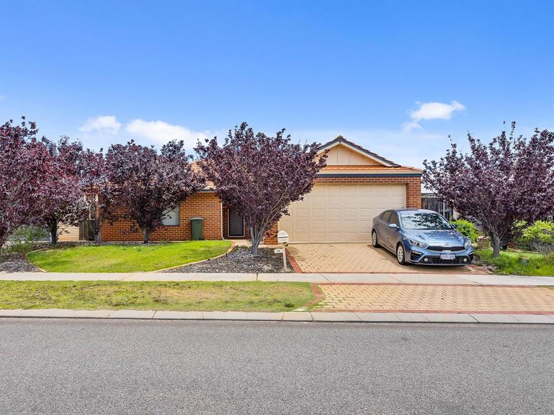 36 Parnham Avenue, Ellenbrook