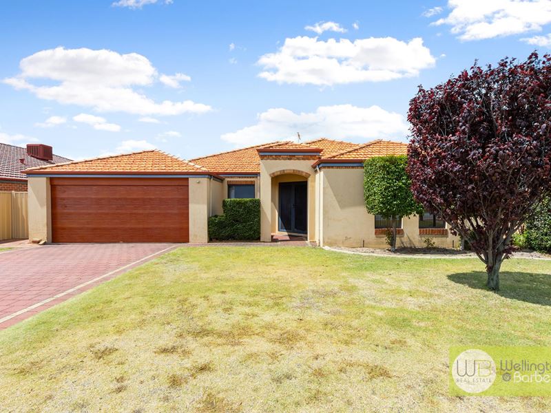 164 Amherst Rd, Canning Vale