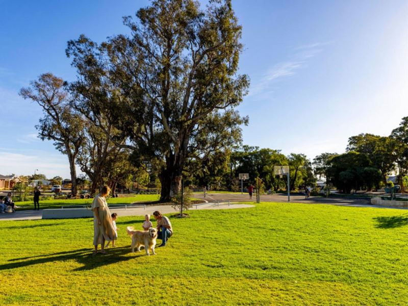 Lot 717, 23 Threefin Circuit, Vasse