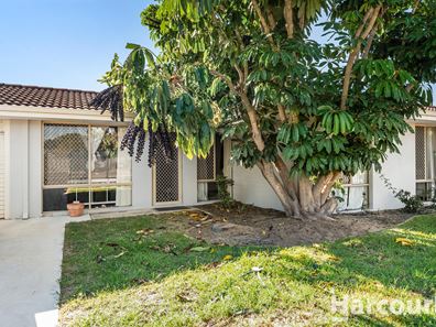 49 Mississippi Drive, Greenfields WA 6210