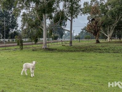 18 Meadowbrook Ramble, Bullsbrook WA 6084