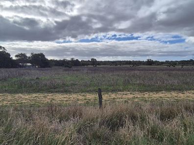 6 Cullalla  Road, Mooliabeenee WA 6504
