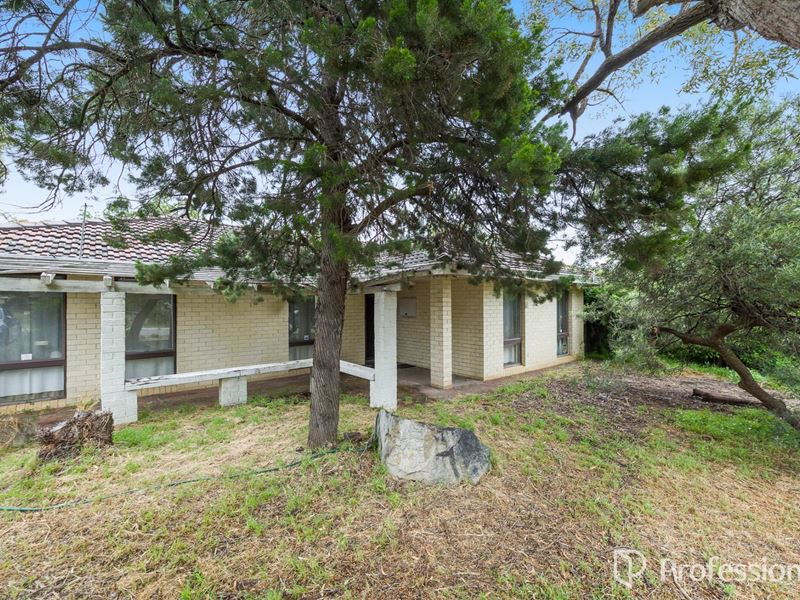 11 Wandoo Road, Forrestfield
