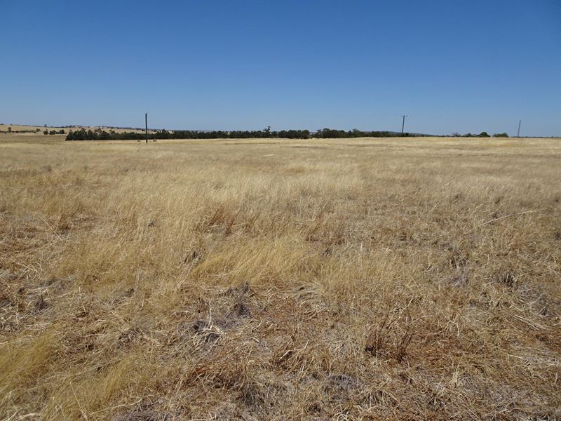 160 Chittleborough Road, Brookton WA 6306