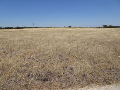 160 Chittleborough Road, Brookton WA 6306