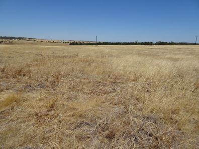 160 Chittleborough Road, Brookton WA 6306