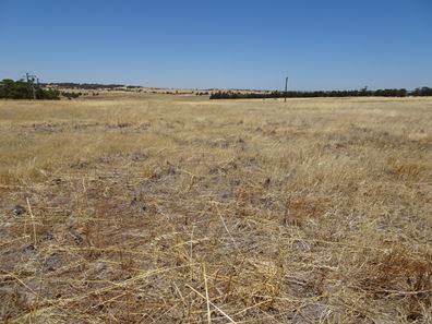 160 Chittleborough Road, Brookton WA 6306