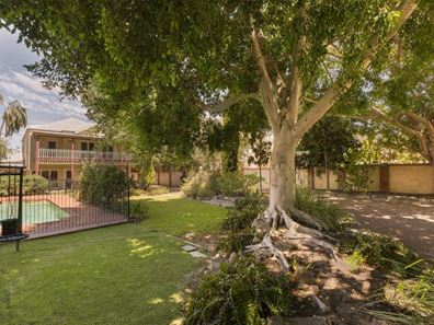 56 The Avenue, Nedlands WA 6009