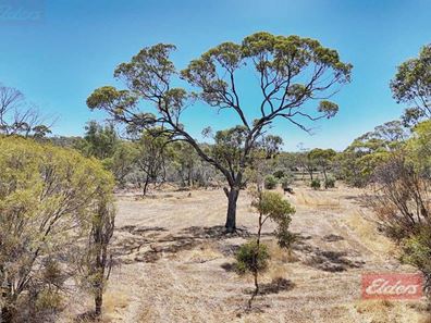 357 Richmond Street, Williams WA 6391