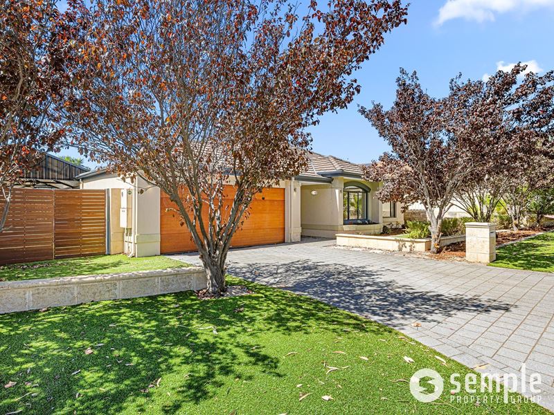 10 Steiner Avenue, Success