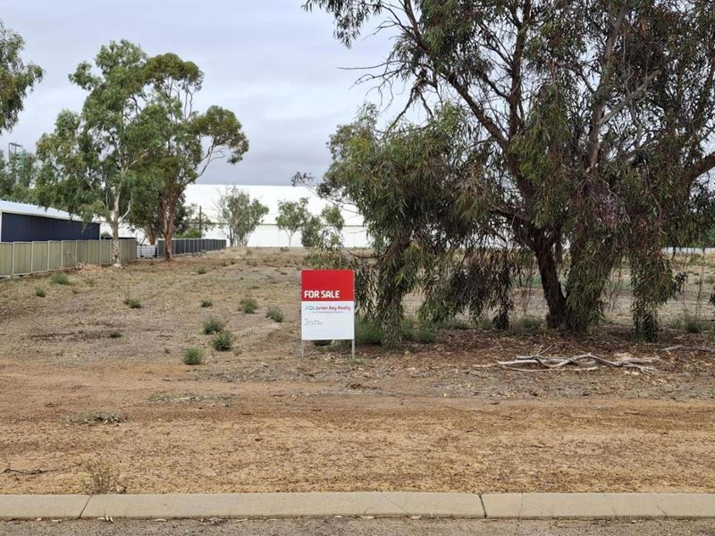 12 McConnell Street, Pithara WA 6608