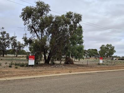 12 McConnell Street, Pithara WA 6608