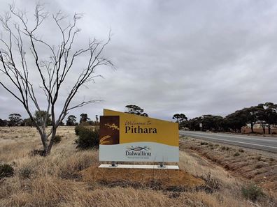 12 McConnell Street, Pithara WA 6608