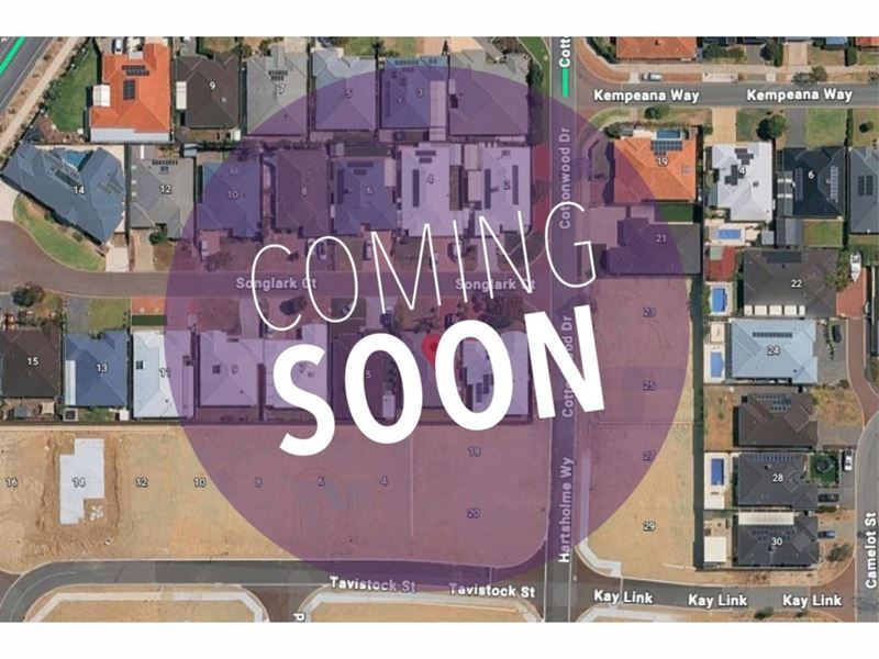 3 Songlark Court, Baldivis