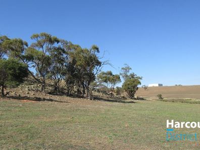 20 Jacamar Drive, Northam WA 6401
