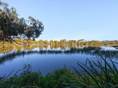 156 Rochdale Road, Mount Claremont WA 6010