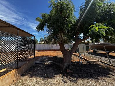 13 Carpenter Street, Exmouth WA 6707