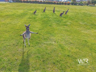17 Bull Chase, Warrenup WA 6330
