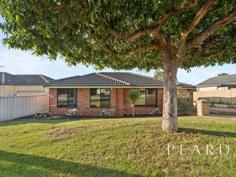 64a Eastdene Circle, Nollamara WA 6061